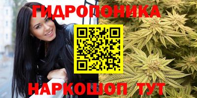 гидра Кингисепп