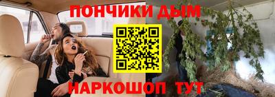 гидра Кингисепп