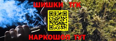 гидра Кингисепп