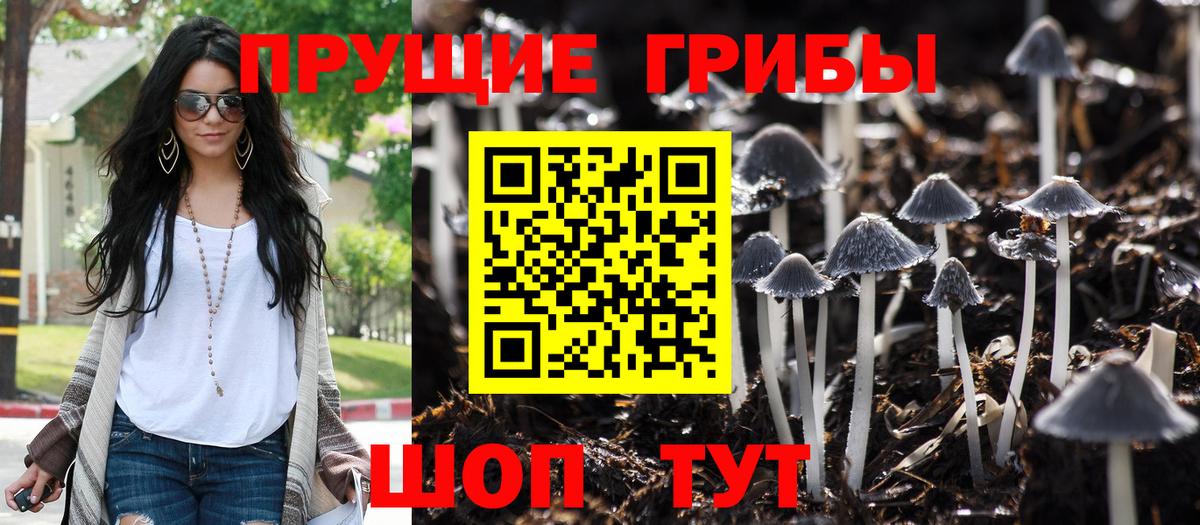 Псилоцибиновые грибы MAGIC MUSHROOMS  Вход с VPN  Петровск 